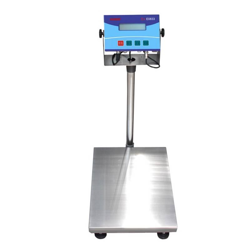 Stainless steel explosion-proof scale